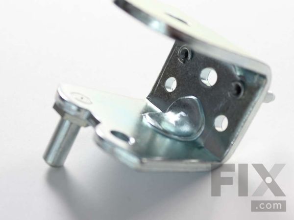 4705338-1-M-LG-AEH73856203-HINGE ASSEMBLY, CENTER