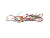 HARNESS – Part Number: 137161400