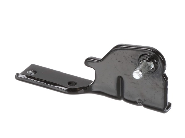 7321753-1-M-LG-AEH73856204-Center Hinge Assembly