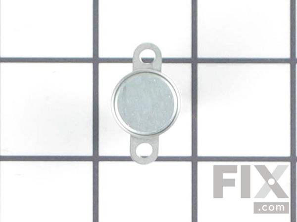 755806-1-M-GE-WE04X10094        -Thermal Limiter