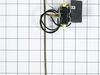783541-1-S-GE-WB20T10012        -Thermostat