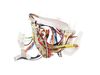 00 Cable Harness – Part Number: 00654762