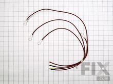 Electrodes & Harness – Part Number: WB18K10098