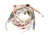 HARNESS WIRE MAIN – Part Number: WB18X20179