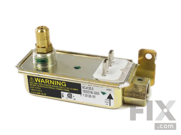 8754439-1-M-GE-WB21X21212-SAFETY VALVE SINGLE