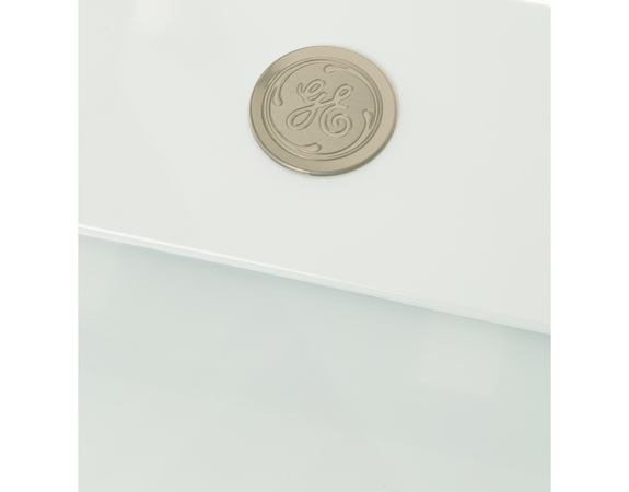 8755574-1-M-GE-WB56X20633-Door Assembly