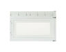 8755574-2-S-GE-WB56X20633-Door Assembly