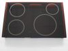 MAINTOP GLASS Assembly (BK) – Part Number: WB62X20972