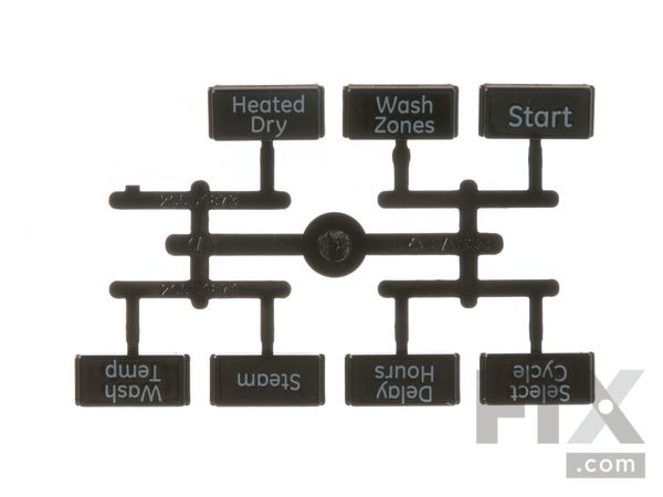 8756173-1-M-GE-WD09X10091- BUTTON AND GRAPHICS Assembly