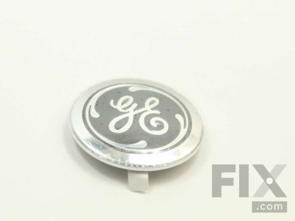 8756768-1-M-GE-WE19M10949-BADGE GE