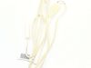 8760187-2-S-Frigidaire-242278801-THERMISTOR ASSEMBLY