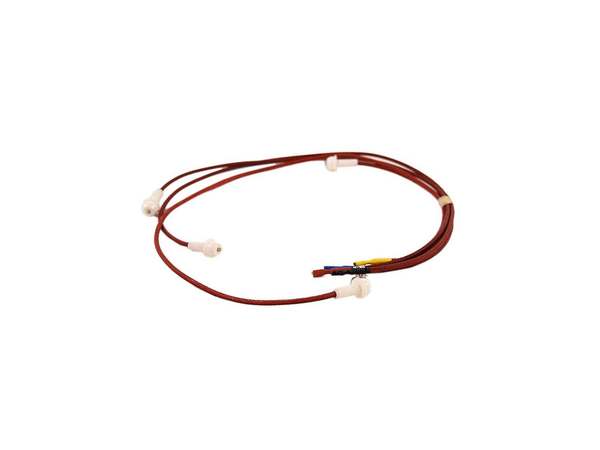 8767061-1-M-GE-WB18K10093-ELECTRODES & HARNESS HV