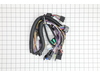 Wire Harness- Zoom/zt – Part Number: 00347901