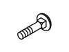 Blt-rdhdsqnk .25-20x1.25 G5yz – Part Number: 06219700