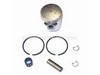 Piston Kit – Part Number: 10000003210