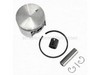 Piston Kit – Part Number: 10000039730
