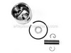 Piston Kit – Part Number: 10000044331