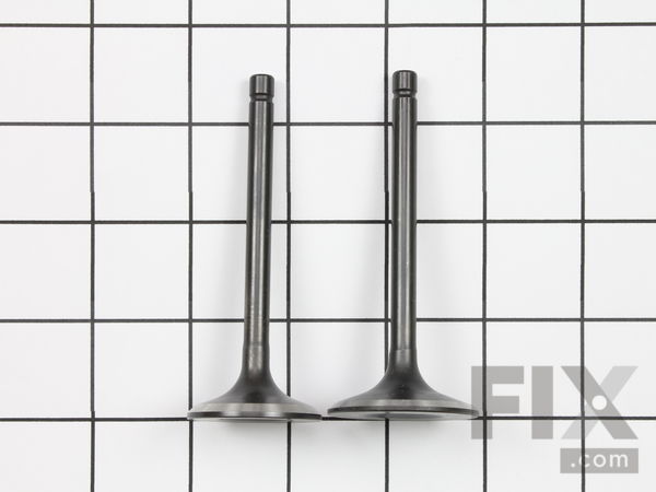 8854943-1-M-Toro-120-4302-VALVE SET