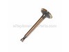 Valve-Intake – Part Number: 12004-2095