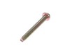 8856758-3-S-Echo-12311005560-Trimmer Fuel Pump Cover Screw