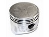Piston 0.25 – Part Number: 13029-2084