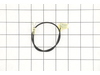 8873120-2-S-Echo-16202130830-Lead