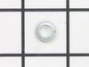 Washer-Spring – Part Number: 16389213350