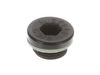 Cap, Oil – Part Number: 190571GS