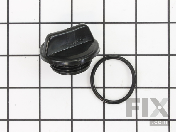 8911491-1-M-Briggs and Stratton-198155GS-Assembly, Plug