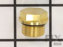 Drain Plug – Part Number: 203034GS
