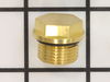Drain Plug – Part Number: 203034GS