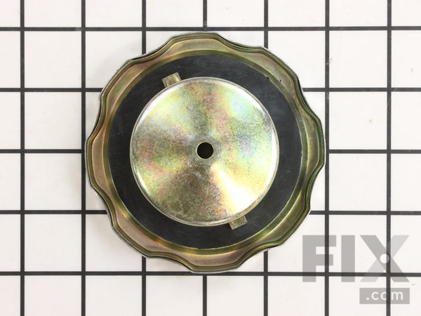 8915277-1-M-Briggs and Stratton-204739GS-Cap, Fuel
