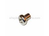 Screw-Pan – Part Number: 220AA0608