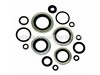Kit, O-Rings, Unloader – Part Number: 250B2327GS
