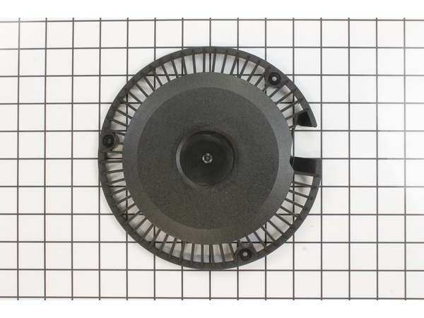 8941609-1-M-Briggs and Stratton-280571-Guard-rewind