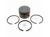 Piston Assembly-020 – Part Number: 298906