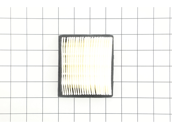 8955462-1-M-Tecumseh-36046-Air Cleaner Filter