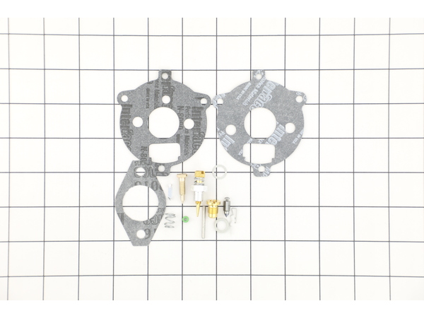8960042-1-M-Briggs and Stratton-394693-Kit-carb Overhaul