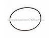 Belt – Part Number: 37X131MA