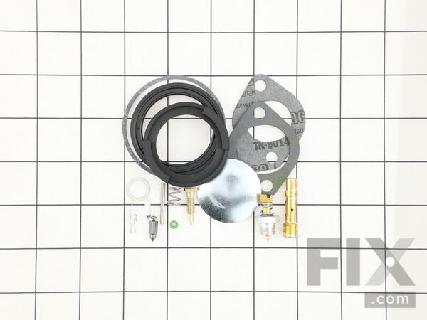8960554-1-M-Briggs and Stratton-394698-Kit-carb Overhaul
