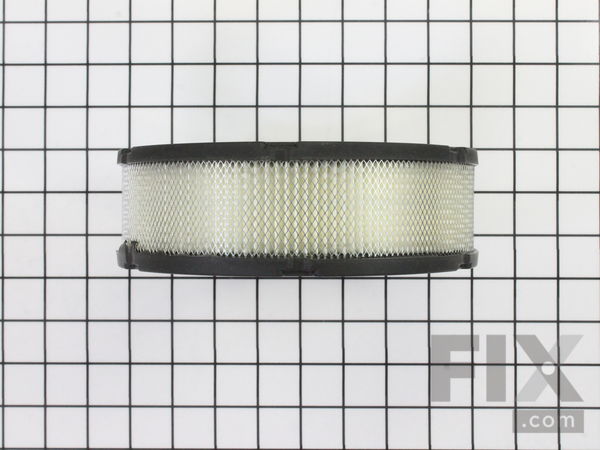 8962593-1-M-Briggs and Stratton-394018S-Filter-a/c Cartridge