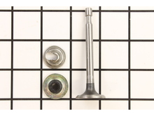 Valve-Intake (Std) – Part Number: 37711