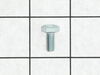Screw, M6 X 12 – Part Number: 43116GS