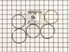 Piston Assy-std – Part Number: 491903