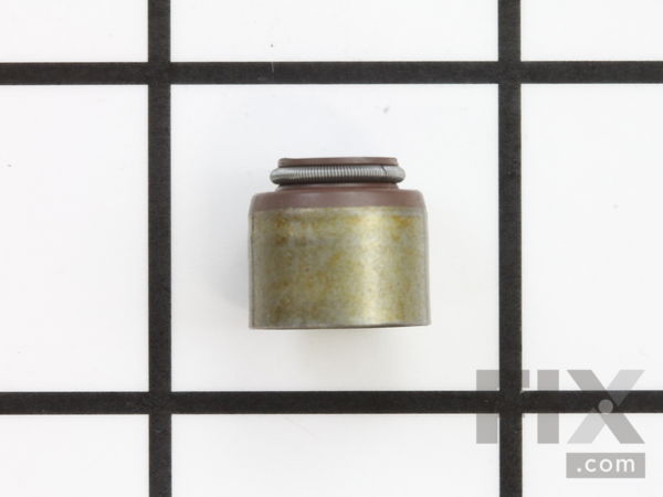 8981078-1-M-Briggs and Stratton-491020-Seal-valve