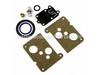 Kit-carb Overhaul – Part Number: 494625