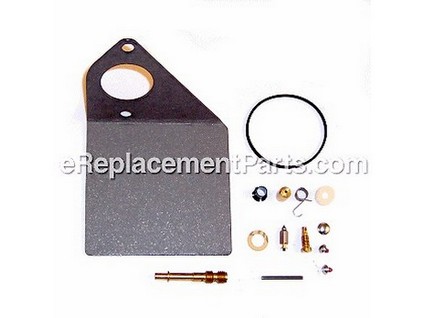 8981866-1-M-Briggs and Stratton-497166-Kit-carb Overhaul