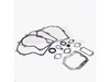 Gasket Set-Engine – Part Number: 497511
