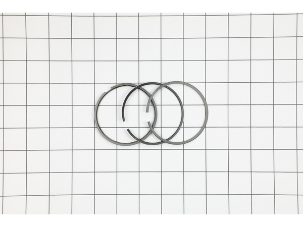 8982177-1-M-Briggs and Stratton-493261-Ring Set-std