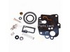 Kit-carb Overhaul – Part Number: 494623